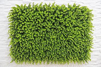 策略游戏《灾难逃生：孤岛》Steam页面上线